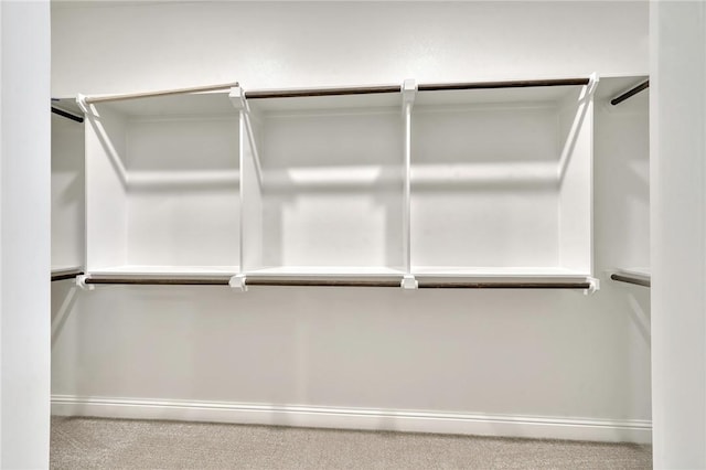 spacious closet featuring carpet