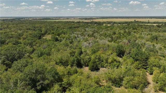 TBDLOT20 Red Hill Rd, Countyroad, Calvert, TX 77859