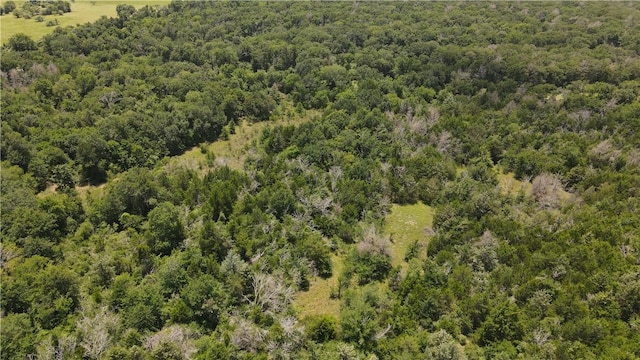 TBDLOT20 Red Hill Rd, Countyroad, Calvert, TX 77859