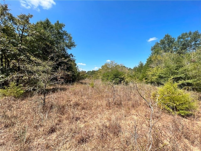 TBDLOT20 Red Hill Rd, Countyroad, Calvert, TX 77859