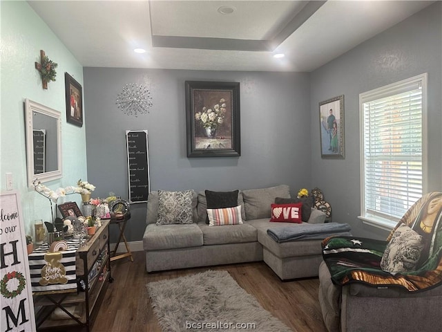 living room featuring dark hardwood / wood-style floors and a tray ceiling