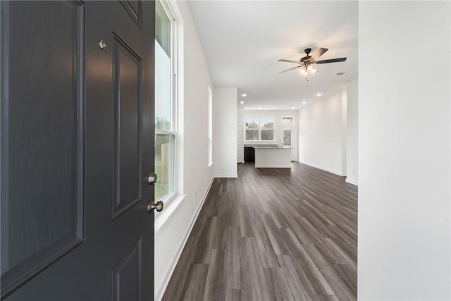 entrance foyer featuring ceiling fan and hardwood / wood-style floors