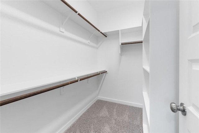 spacious closet with carpet flooring