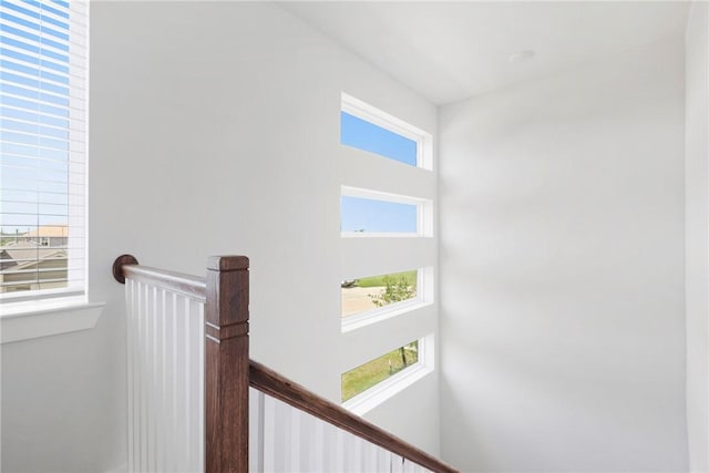 1119 Amistad Loop, College Station, TX 77845 - photo 15