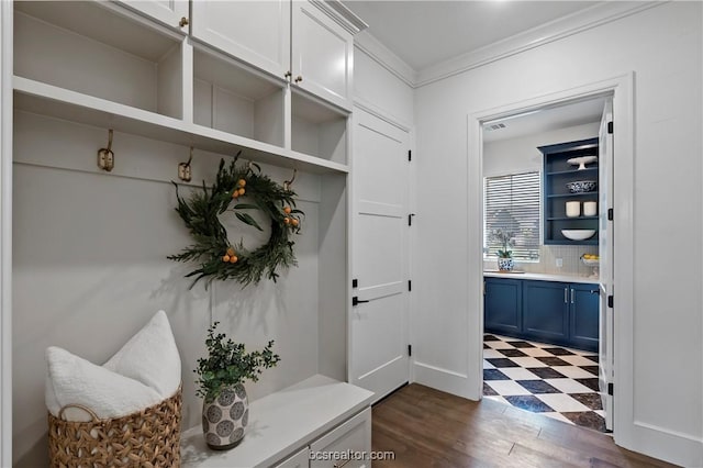 mudroom featuring crown molding and dark wood-type flooring