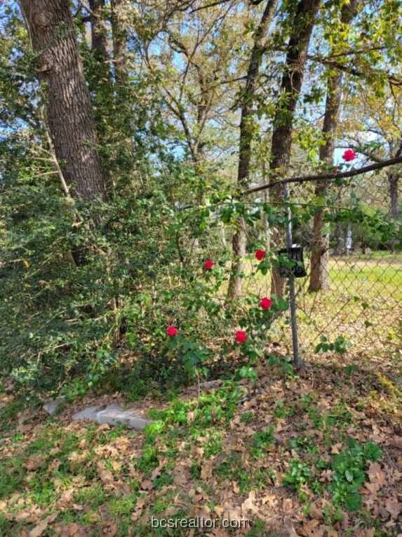 1011 Sandy Cove Dr, Bryan, TX 77807
