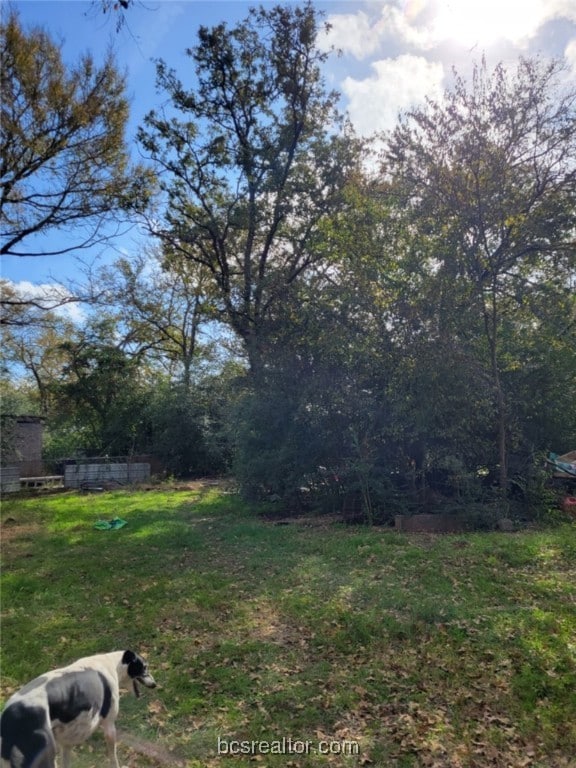 1011 Sandy Cove Dr, Bryan, TX 77807