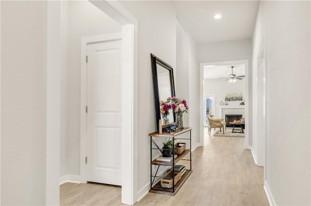 hall featuring light hardwood / wood-style flooring