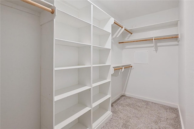 walk in closet featuring carpet floors