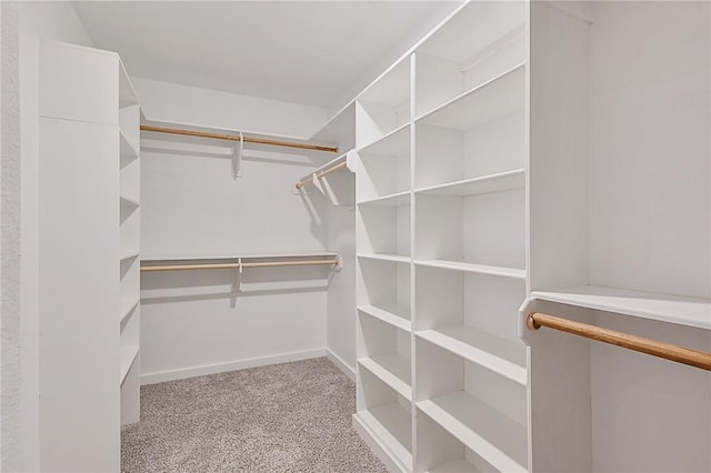 spacious closet with carpet flooring