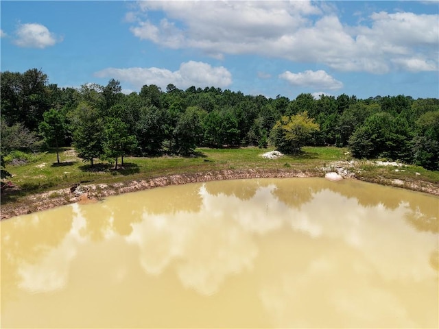 3656 Luthe Rd, Bedias, TX 77831