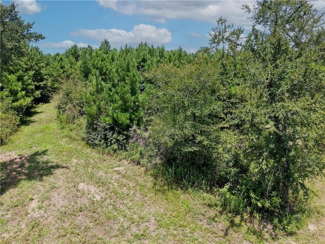 3656 Luthe Rd, Bedias, TX 77831