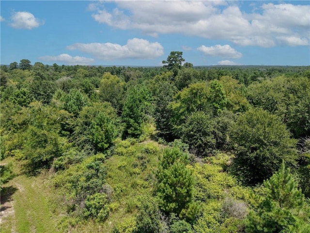 3656 Luthe Rd, Bedias, TX 77831