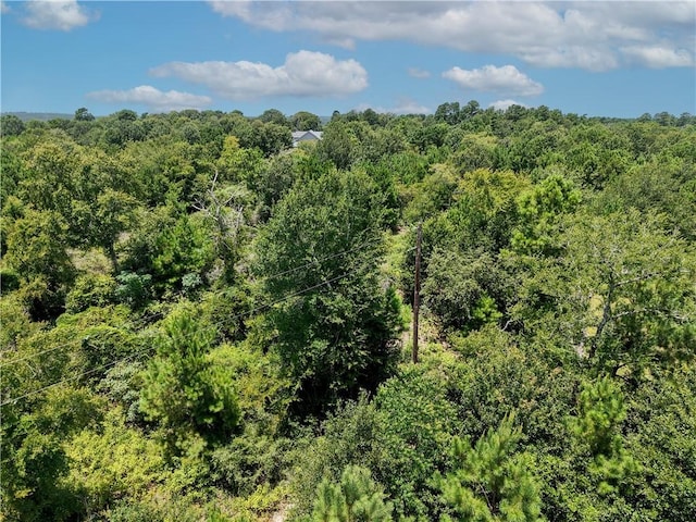 3656 Luthe Rd, Bedias, TX 77831