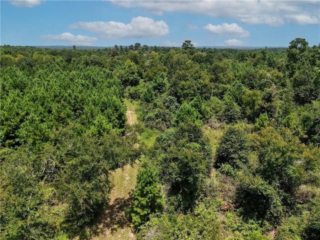 3656 Luthe Rd, Bedias, TX 77831