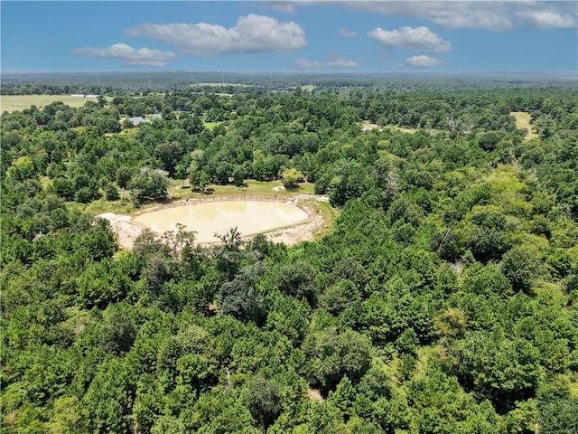 3656 Luthe Rd, Bedias, TX 77831