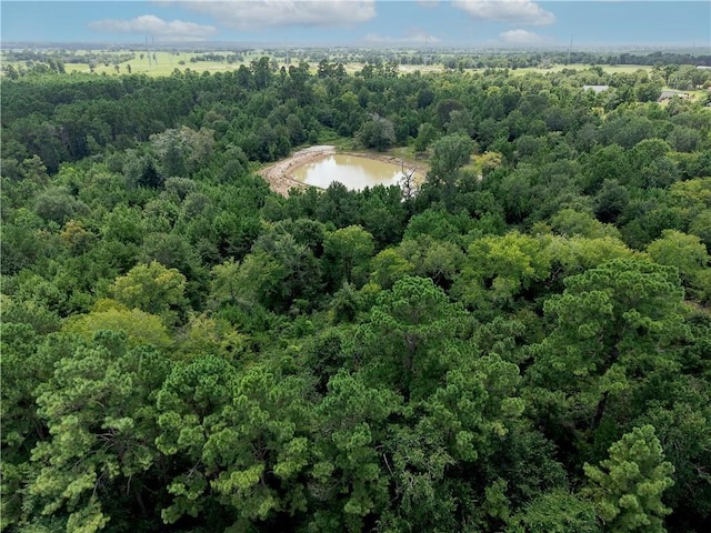 3656 Luthe Rd, Bedias, TX 77831