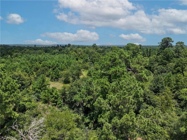 3656 Luthe Rd, Bedias, TX 77831