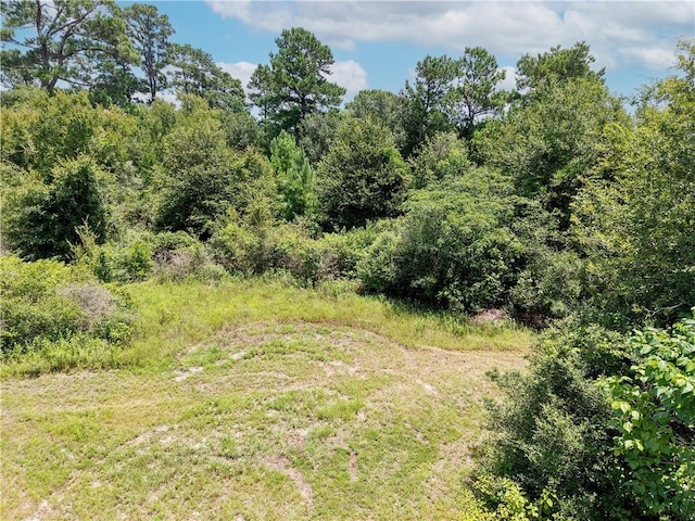 3656 Luthe Rd, Bedias, TX 77831