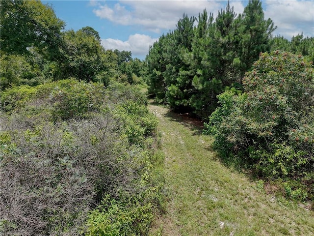 3656 Luthe Rd, Bedias, TX 77831