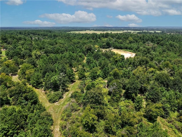 3656 Luthe Rd, Bedias, TX 77831