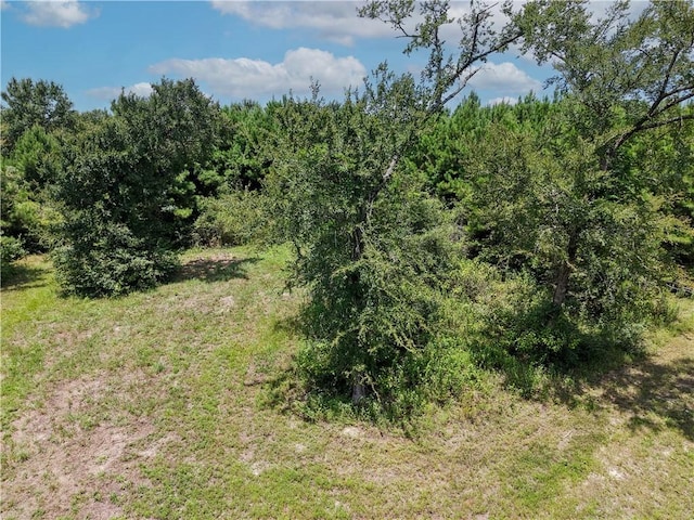 3656 Luthe Rd, Bedias, TX 77831
