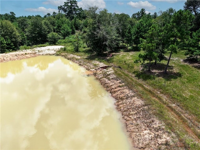 3656 Luthe Rd, Bedias, TX 77831