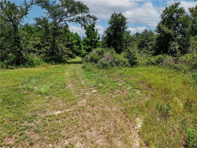 3656 Luthe Rd, Bedias, TX 77831