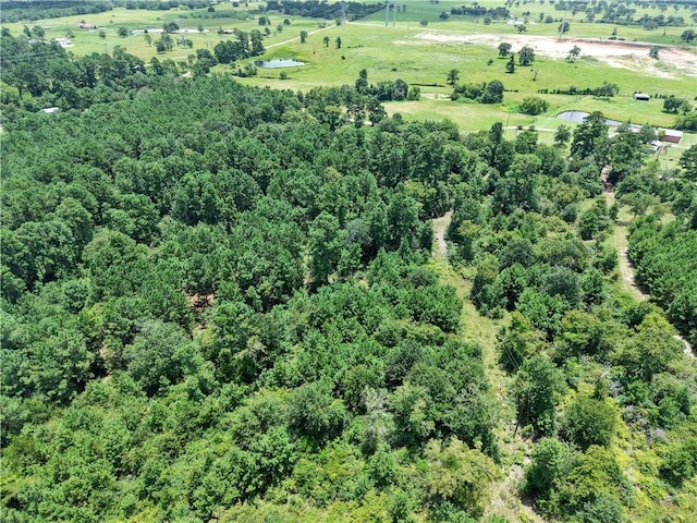3656 Luthe Rd, Bedias, TX 77831
