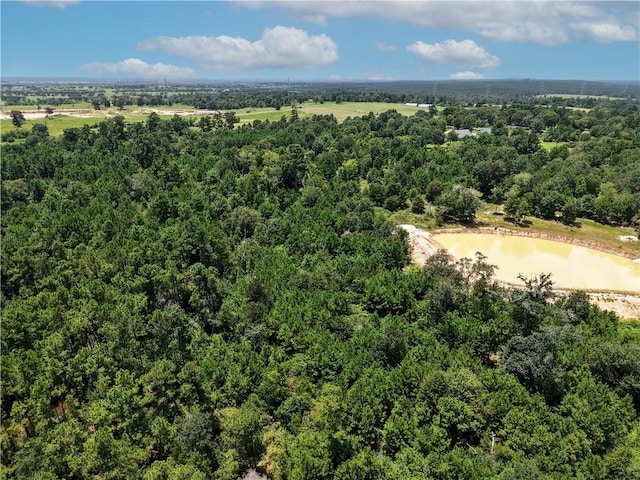 3656 Luthe Rd, Bedias, TX 77831