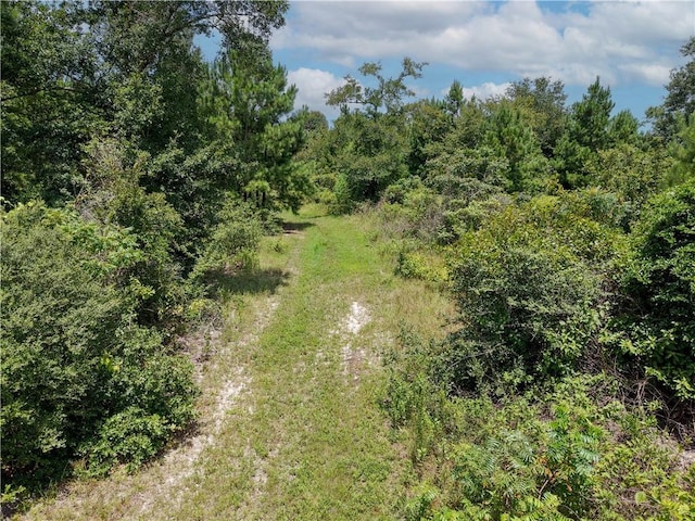 3656 Luthe Rd, Bedias, TX 77831