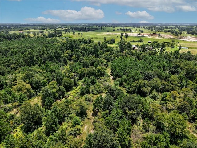 3656 Luthe Rd, Bedias, TX 77831