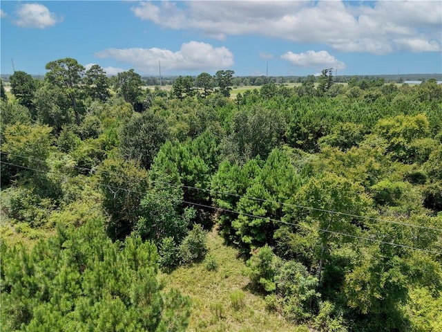 3656 Luthe Rd, Bedias, TX 77831