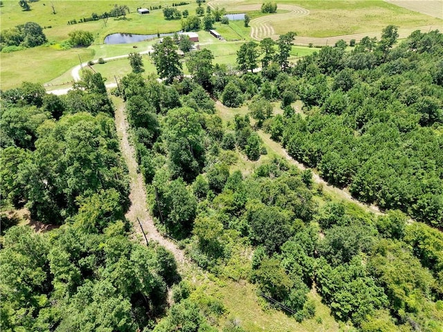 3656 Luthe Rd, Bedias, TX 77831