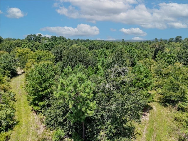 3656 Luthe Rd, Bedias, TX 77831