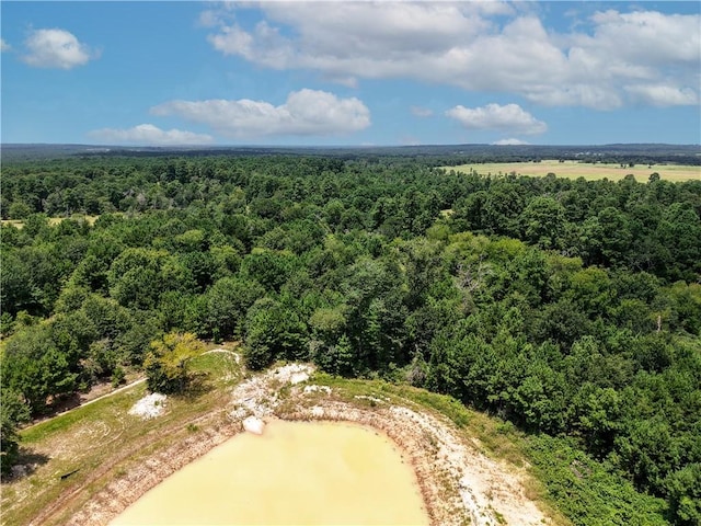 3656 Luthe Rd, Bedias, TX 77831