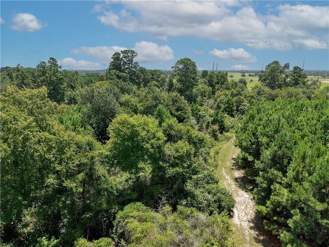 3656 Luthe Rd, Bedias, TX 77831