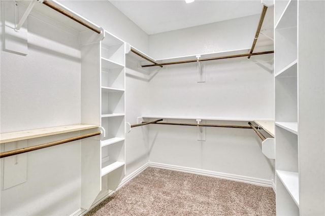 spacious closet featuring light carpet