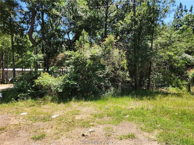 Listing photo 3 for LOT10 Sweetleaf Ln, Plantersville TX 77363