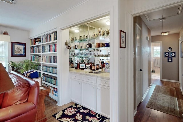 bar featuring a sink, built in features, a dry bar, and wood finished floors