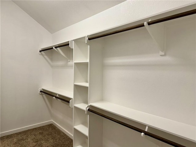 walk in closet with dark colored carpet