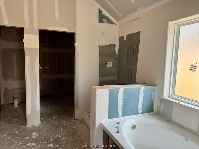 bathroom featuring a tub and a healthy amount of sunlight