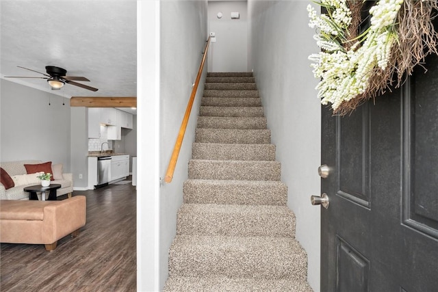 stairway featuring ceiling fan, sink, and hardwood / wood-style flooring