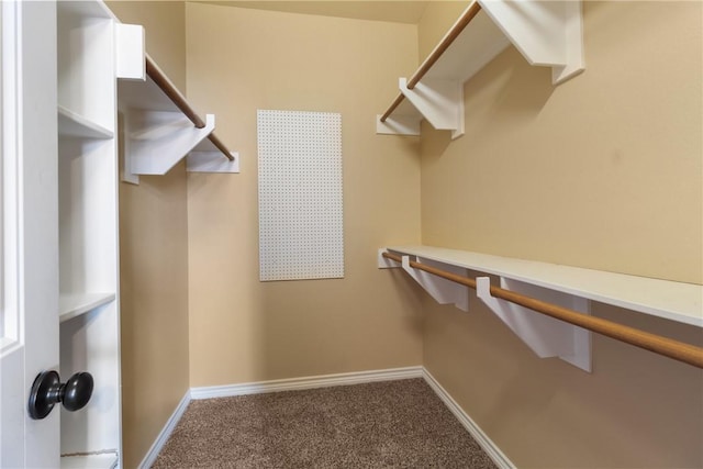 walk in closet with carpet