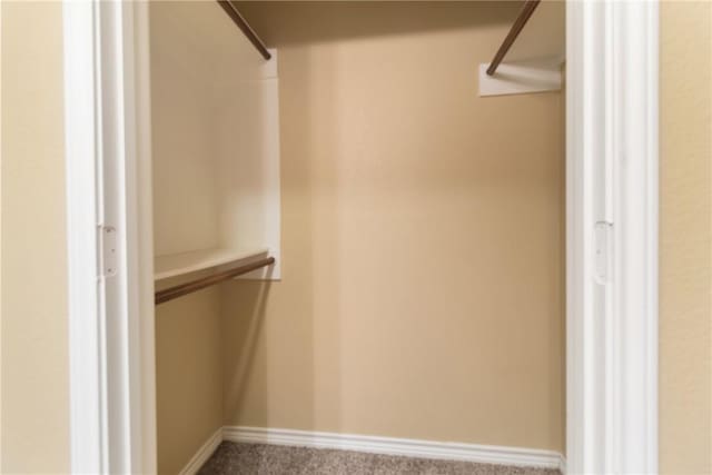 spacious closet featuring carpet flooring