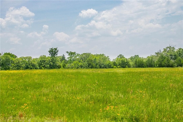 LOT32 Legacy Rd, Somerville, TX 77879 - photo 5