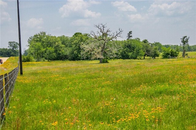 LOT32 Legacy Rd, Somerville, TX 77879 - photo 4