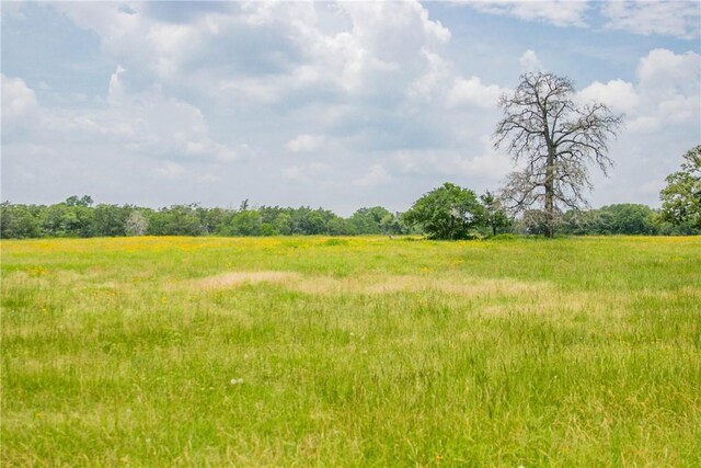 LOT32 Legacy Rd, Somerville, TX 77879 - photo 14