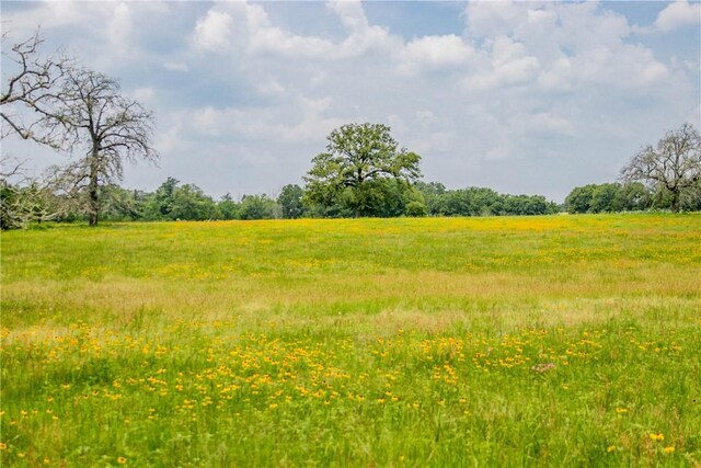 LOT32 Legacy Rd, Somerville, TX 77879 - photo 11