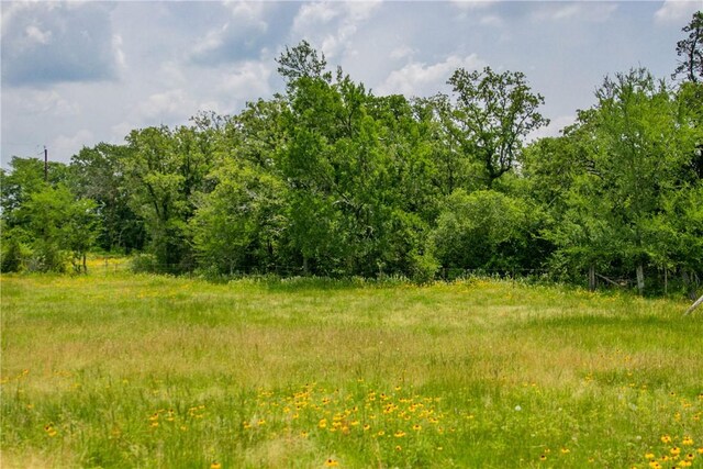 LOT32 Legacy Rd, Somerville, TX 77879 - photo 18